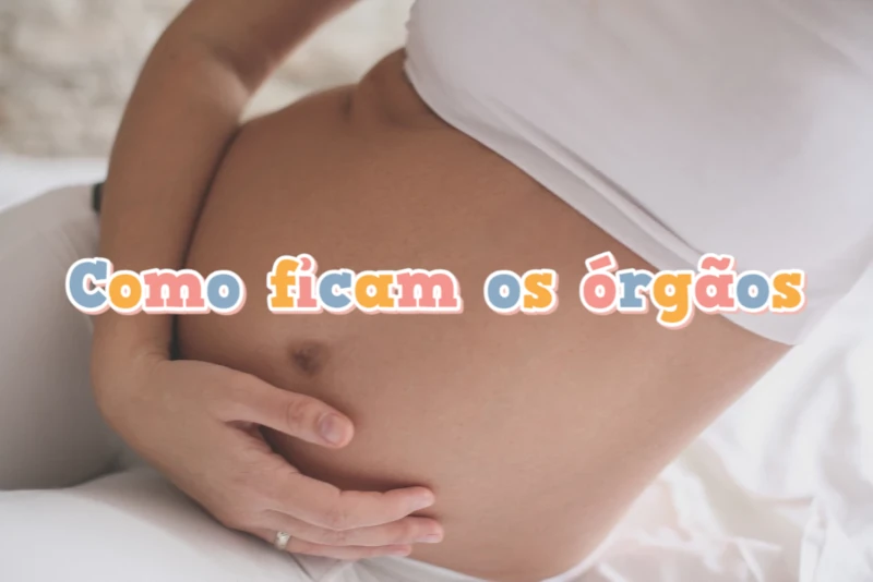 Como ficam os órgãos na gravidez